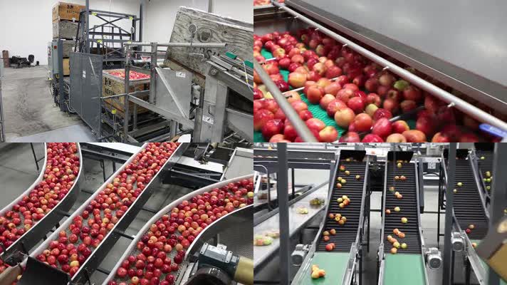 苹果清洗包装设备流水线作业工厂水果加工厂