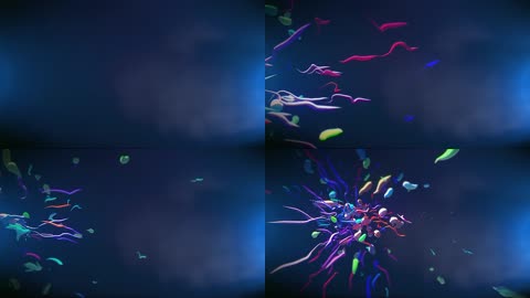 【光影节奏的完美结合系列】