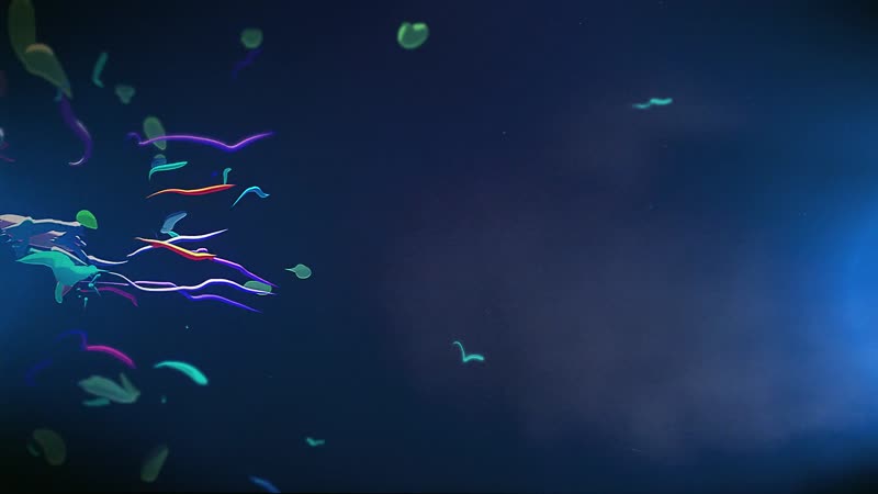 【光影节奏的完美结合系列】