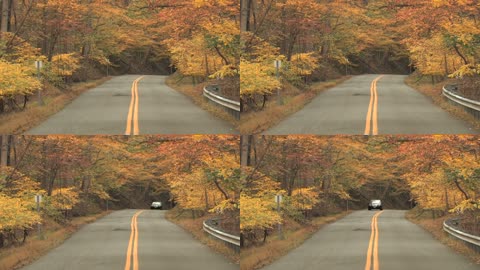秋天的道路实拍