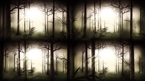 幽暗的森林背景