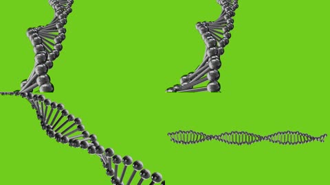 质感DNA绿屏