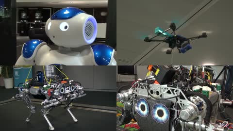 智能机器人研究（多机器人场景）