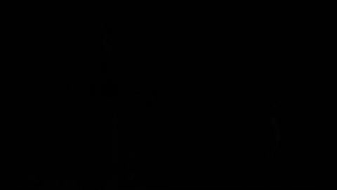 4K恐怖气氛缓慢打开的门