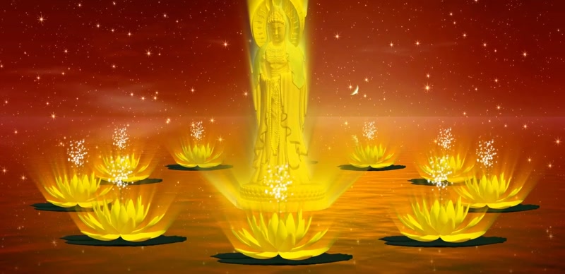 金色宗教佛祖荷花佛像背景