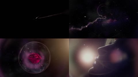 自信女人玫瑰花粒子包装