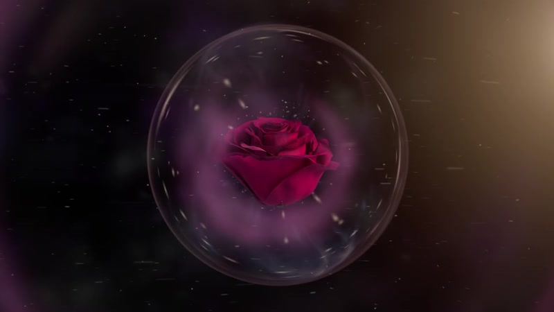 自信女人玫瑰花粒子包装