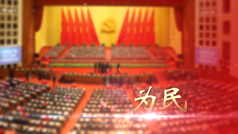 大气党政党徽十九大两会 大气党政党徽十九大两会