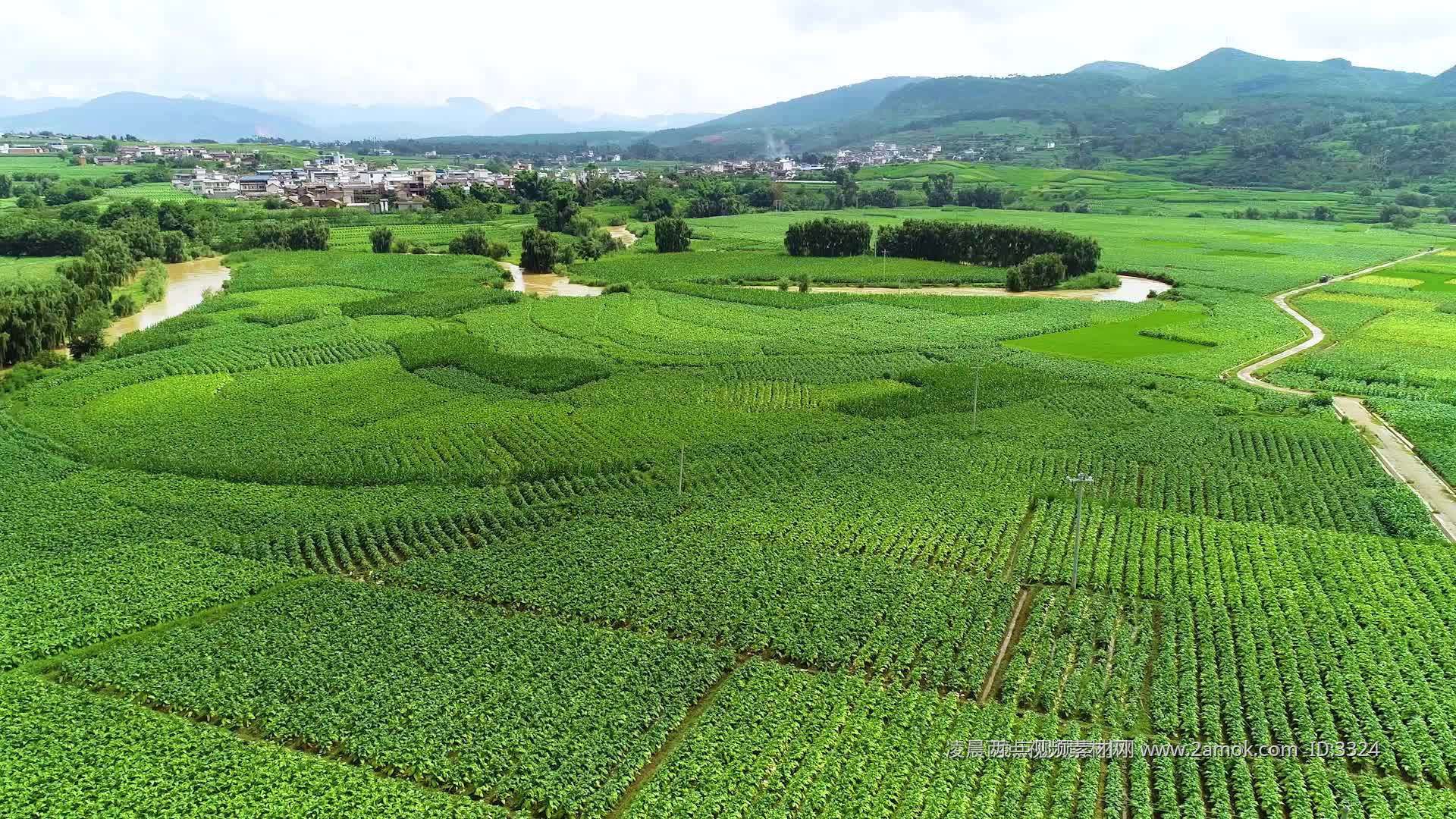 第二十一届中国长春国际农业•食品博览（交易）会今日开幕