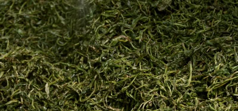 唯美普洱茶素材 唯美普洱茶素材