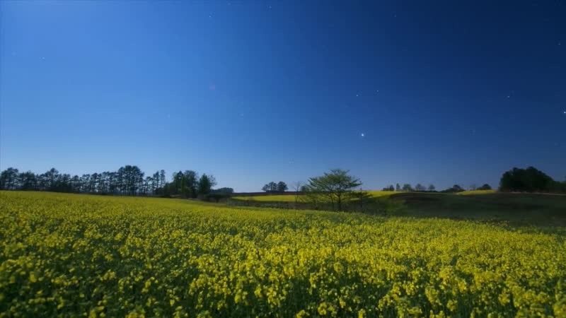 景色实拍配背景音乐 景色实拍配背景音乐