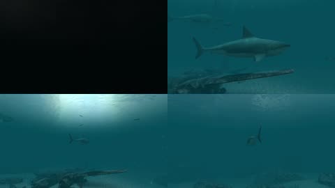 3D海底世界鲨鱼海洋生物水族馆