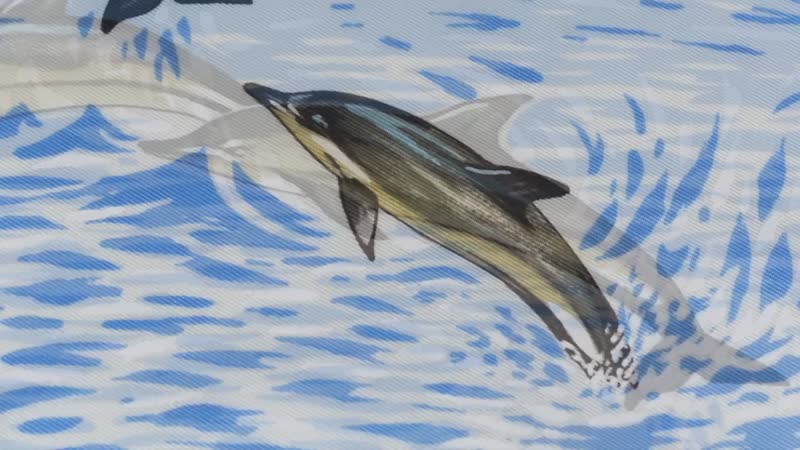 布料印染纺织工艺 布料印染纺织工艺