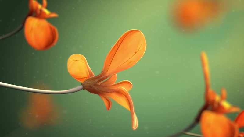 大气的cg花朵镜头推进 大气的cg花朵镜头推进