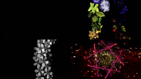 汪峰版怒放配乐