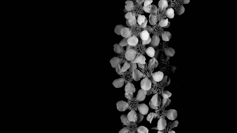 汪峰版怒放配乐 汪峰版怒放配乐