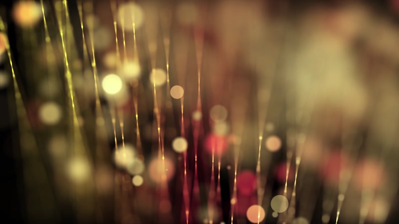 金色粒子线条抒情背景