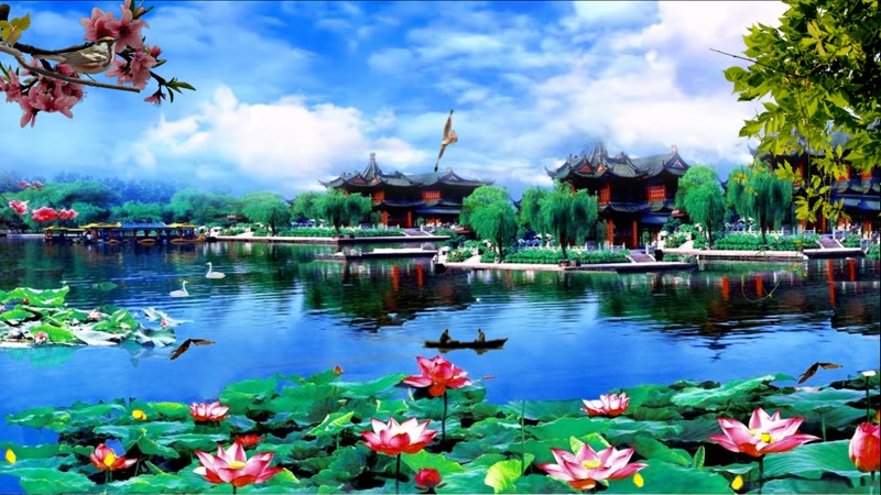 荷塘园林戏曲广场舞背景