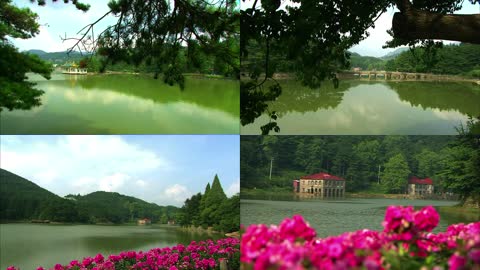 湖泊两岸绿树红花美景