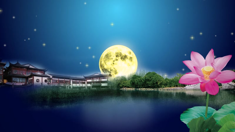 荷塘月亮星空圆月中秋