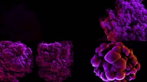 动感紫色烟雾vj