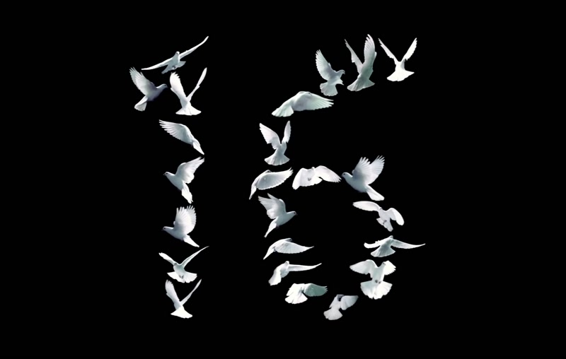 和平鸽飞行慢镜头合成