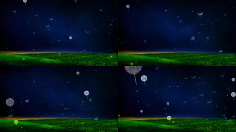 浪漫夜色草地蒲公英背景