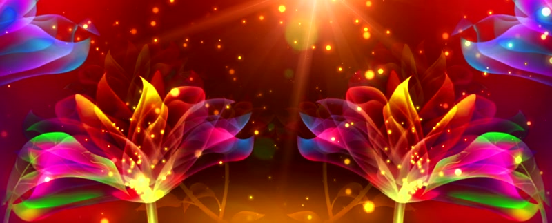 暖色优雅花朵绽放飘浮粒子