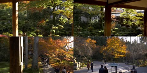 3K日本绝美寺庙京都三千院
