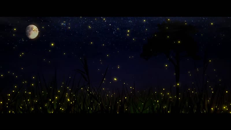 唯美粒子草原星空