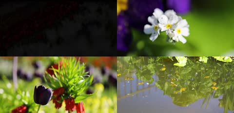 4K春天郊外花园