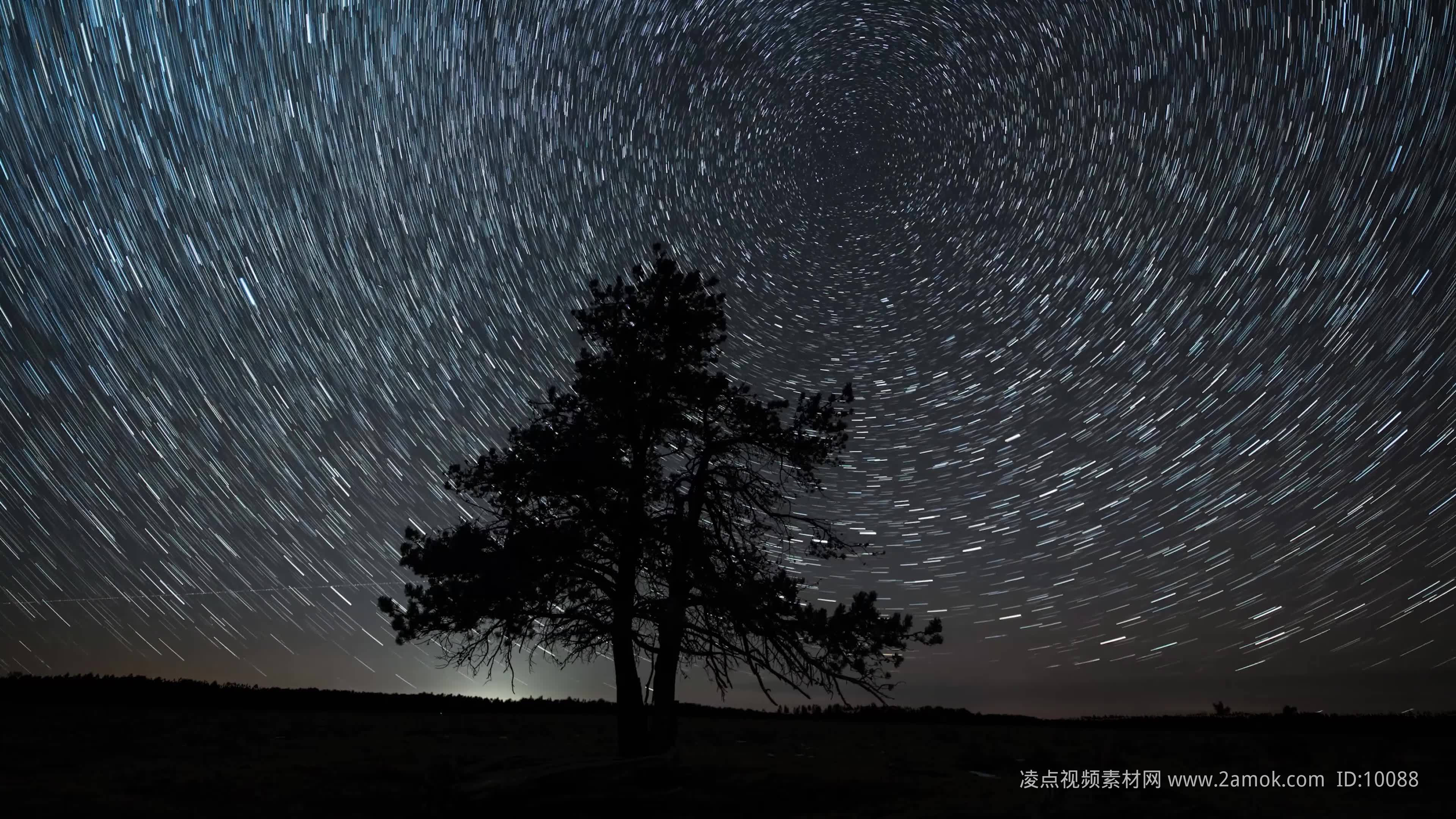 美丽的夜晚,树,星空,4K壁纸-千叶网