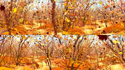 深秋枫叶舞台背景 