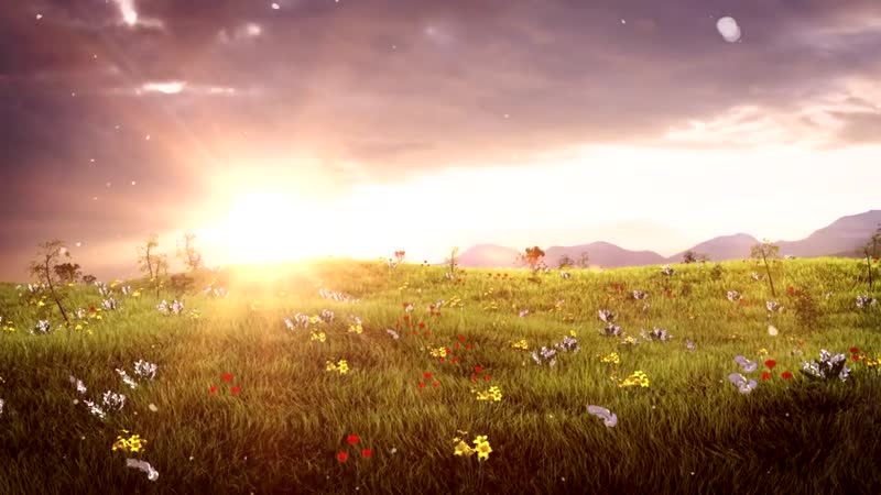 梦幻阳光草地浪漫婚礼婚庆背景