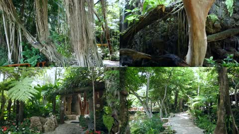 泰国皇家园林高清实拍