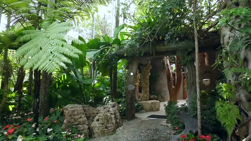 泰国皇家园林高清实拍