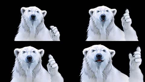 北极熊说唱手势
