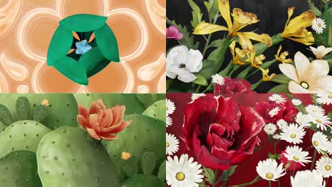 时尚花开太阳镜广告（极品）