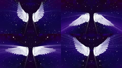 钻石水晶梦想翅膀