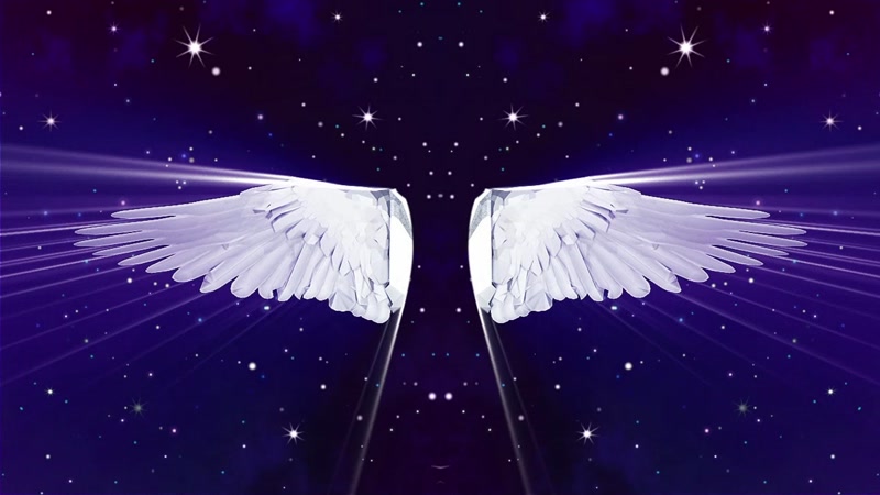 钻石水晶梦想翅膀