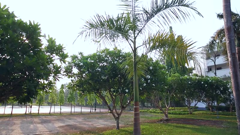 泰国酒店高清实拍