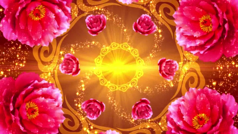 旋转金光牡丹花歌舞背景