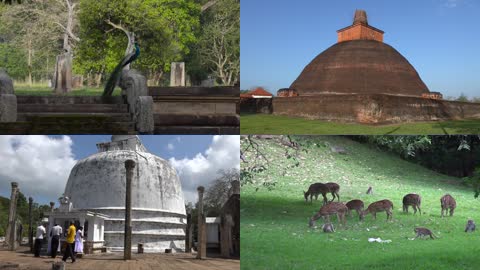 斯里兰卡阿努拉达普拉风光