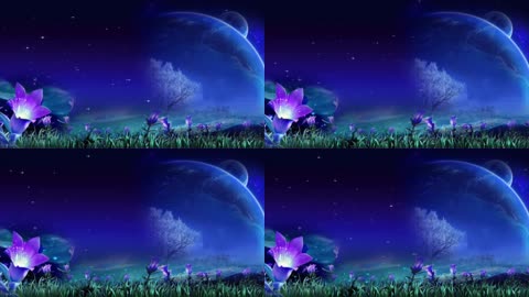 月夜花朵安静的夜晚