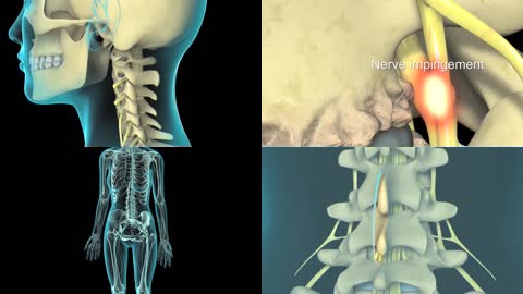 虚拟人体脊椎脊柱架构延时三维动画镜头动态LED背景