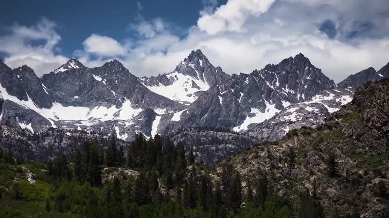 星空银河枯树震撼的大自然