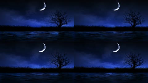 夜晚月亮河水草丛