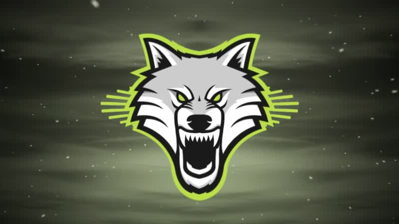 极品狼头音频尘埃粒子VJ视频