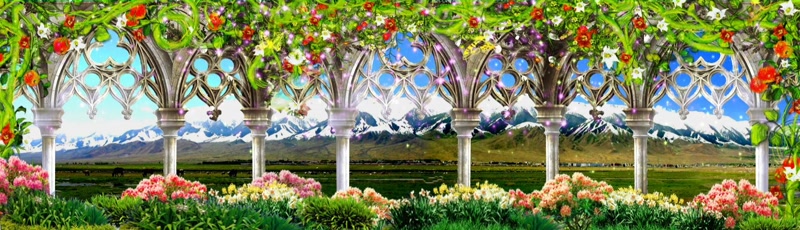 唯美浪漫花朵完美盛开