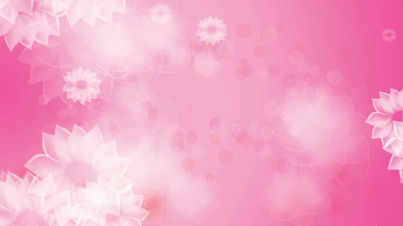 甜蜜浪漫粉红花开梦幻场景华丽简洁婚礼婚庆LED背景视频素材